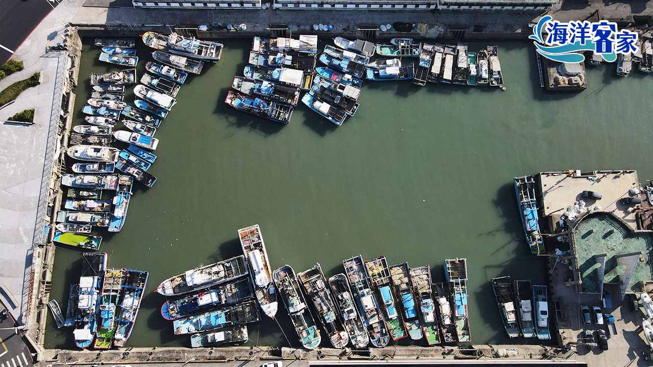 Read more about the article 【海洋客家】早期牽罟捕魚收入高　一條船可抵耕十甲田